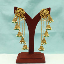 Danglers Kashmiri Antique Earring 22157-31