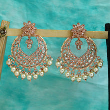 Rose Gold Earrings 17993-5175