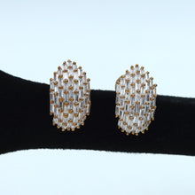 SIlver Zircon/AD Earring 2353-6418