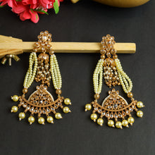Gold Plated Stone Long Earring 8645-2648