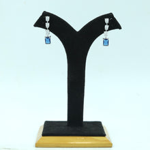 Light Zircon/AD Earring 16893-08