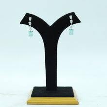 Light Zircon/AD Earring 16893-08