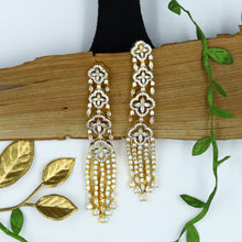 Danglers Zircon/AD Earring 7389-34