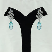 Silver Polish Zircon/AD Earring 6691-69