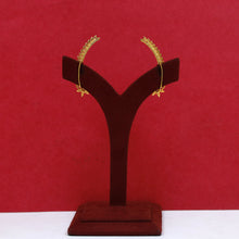 Kanphool Zircon/AD Earring 18631-31