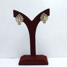 Designer Zircon/AD Earring 18931-69