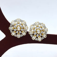 Tops/Studs Zircon/Ad Earring 19455-69