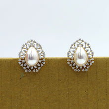 Tops/Studs Zircon/AD Earring 17546-08