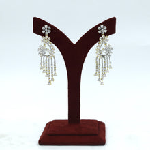 Danglers Zircon/AD Earring 18041-69