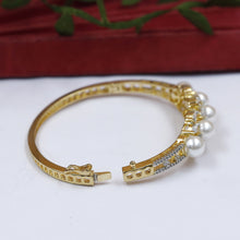 Zircon/AD Bracelet 19553-08