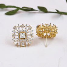 Tops/Studs Zircon/Ad Earring 19465-69