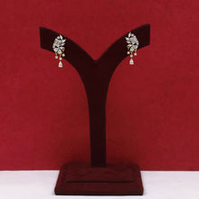 Designer Zircon/AD Earring 19560-08