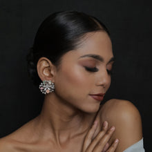 Multi Zircon/AD Earring 17753-4935