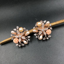 Multi Zircon/AD Earring 17753-4935