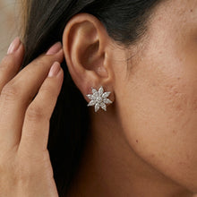 Tops/Studs Zircon/AD Earring 20115-08