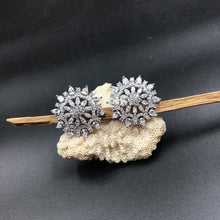 Silver Polish Zircon/AD Earring 6721-69 - Dazzles Jewellery