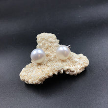 Tops/Studs Fashion Earring 4984-21 - Dazzles Jewellery